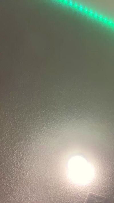 Buzz_Bunni_Bit live from United States