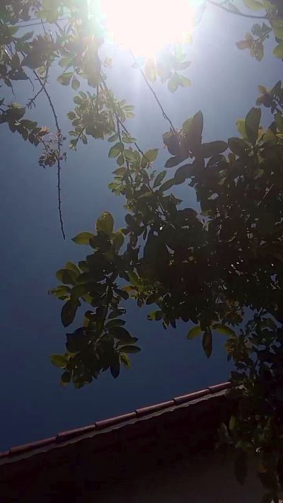 ChampBR live from Brazil