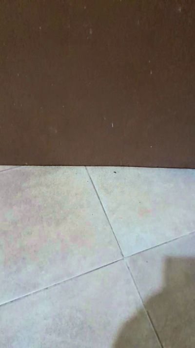 Elplayer25 live from Mexico