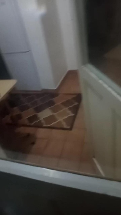 Hottpussy2 live from Romania