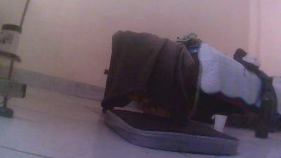 Ricajazzanal live from Bolivia
