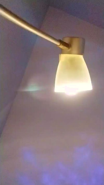 Trantr live from Italy