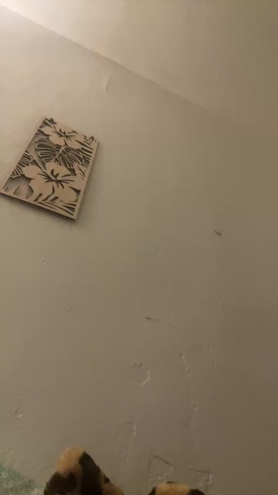 bbyxjosie335671 live from United States
