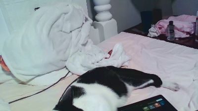 mjchattanooga live from United States